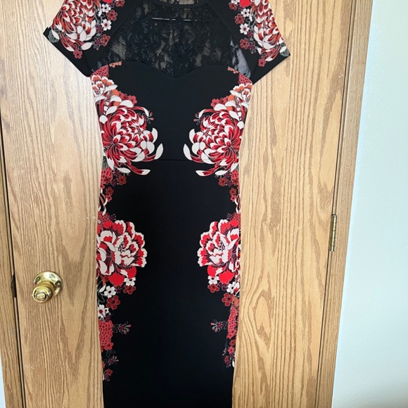 Express Dress - Picture 4 of 4